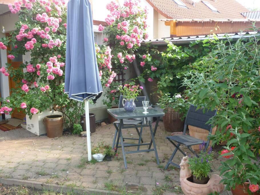 Erpelhaus Appartement Utzberg Buitenkant foto