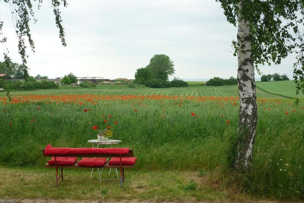 Erpelhaus Appartement Utzberg Buitenkant foto