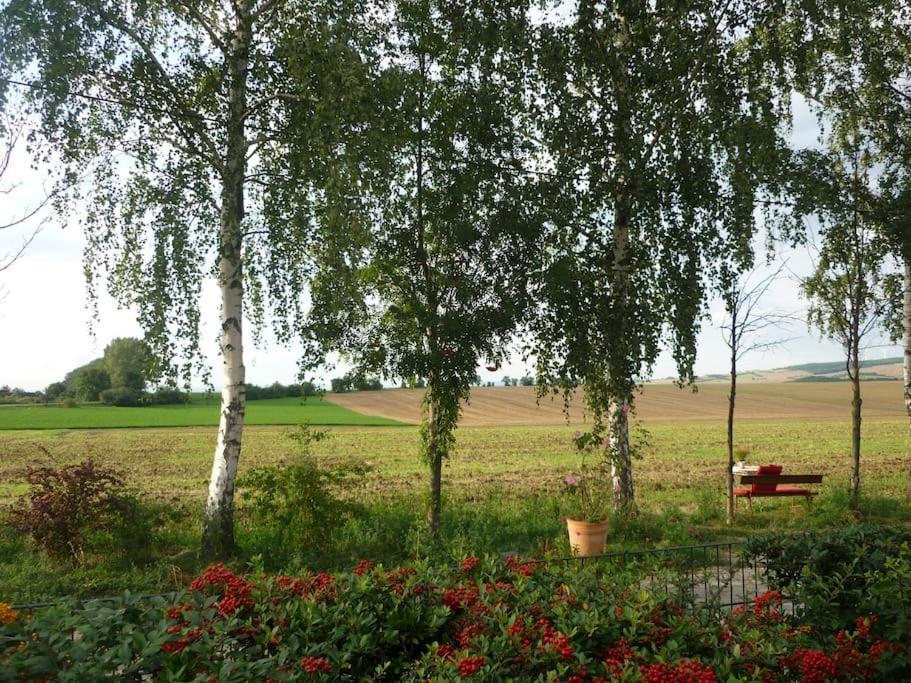 Erpelhaus Appartement Utzberg Buitenkant foto