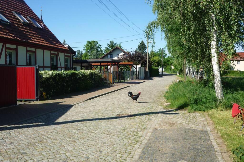 Erpelhaus Appartement Utzberg Buitenkant foto